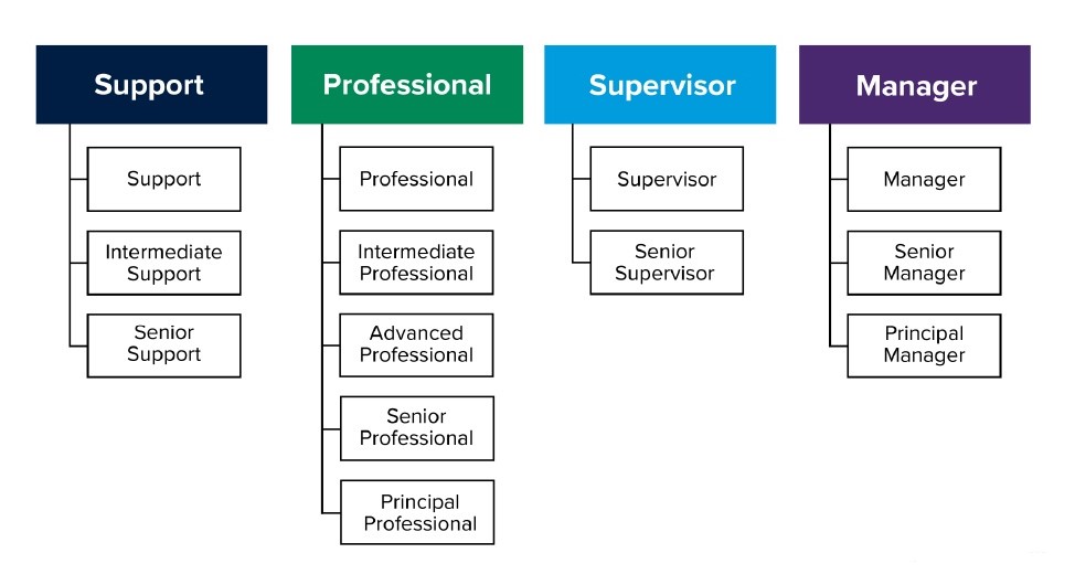 "chart showing four job levels, including support, professional, supervisor, and manager. Below support is listed support, intermediate support, and senior support. Below professional is listed professional, intermediate professional, advanced professional, senior professional, and principal professional. Below supervisor is listed supervisor and senior supervisor. Below manager is listed manager, senior manager, and principal manager."